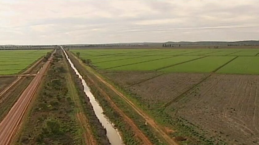 Fields separated by an irrigation channel (ABC: Landline)