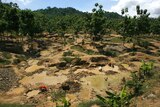 Illegal gold miners in Indonesia