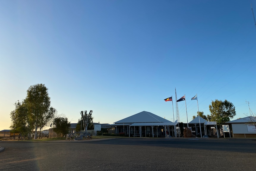 A wide shot of a building with steel roof, under a blue sky, with flags flying in front, a couple of trees around it.