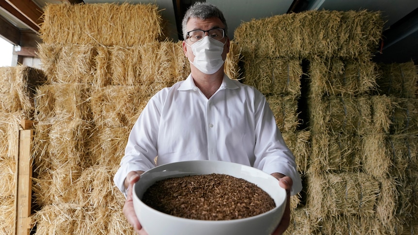 A man wearing a white business shirt and face mask holds a bowl full of brown compost in front of hay bales 