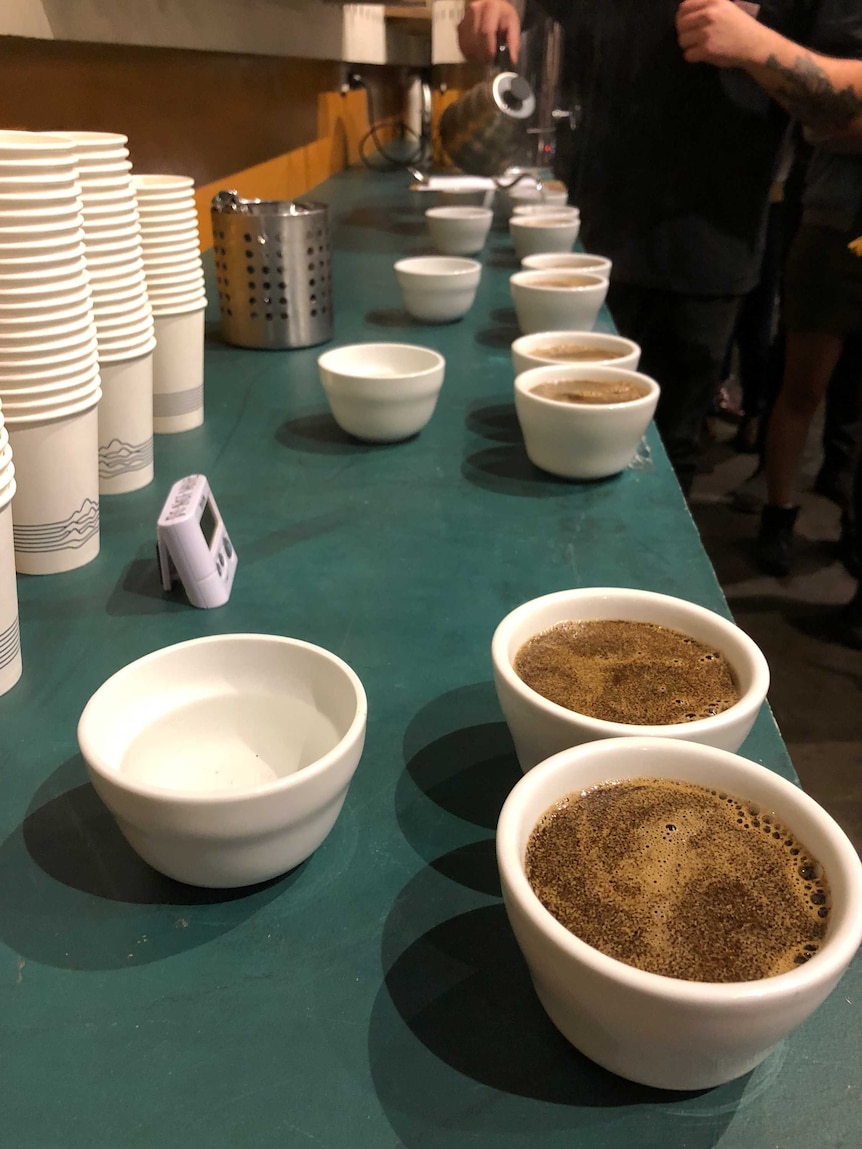 Coffee cupping session.