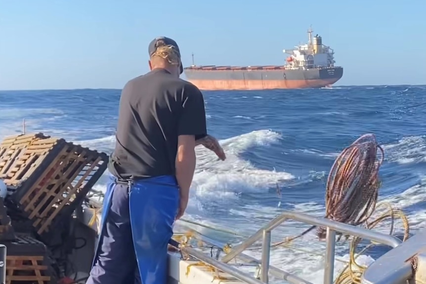 A man on a boat facing away from the camera, checking lobster pots. A cargo ship is in the background.