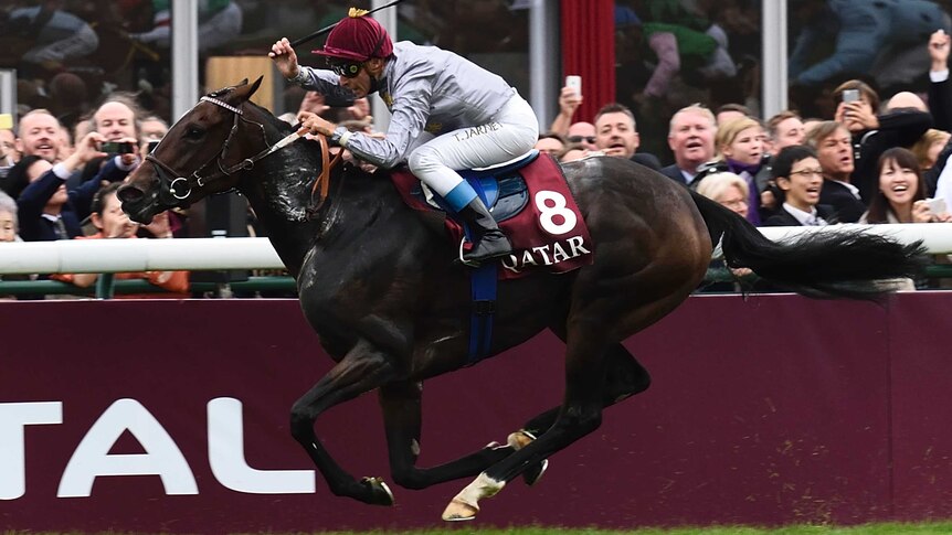 Treve wins second Arc