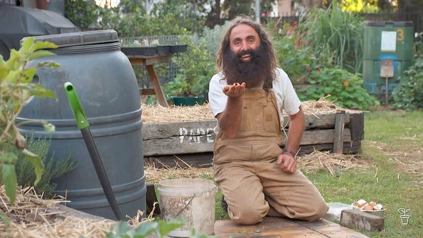 Costa sitting next to a compost bin in a garden.