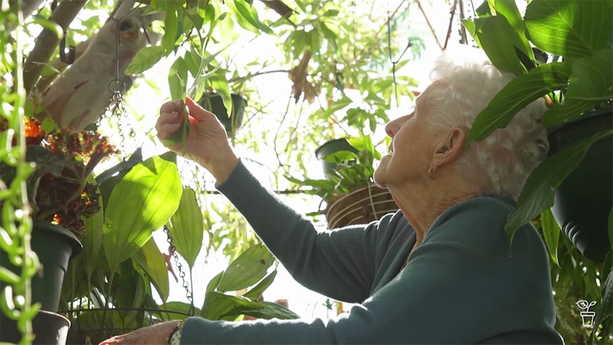 Lady holding leaves from an over-hanging branch in a garden.