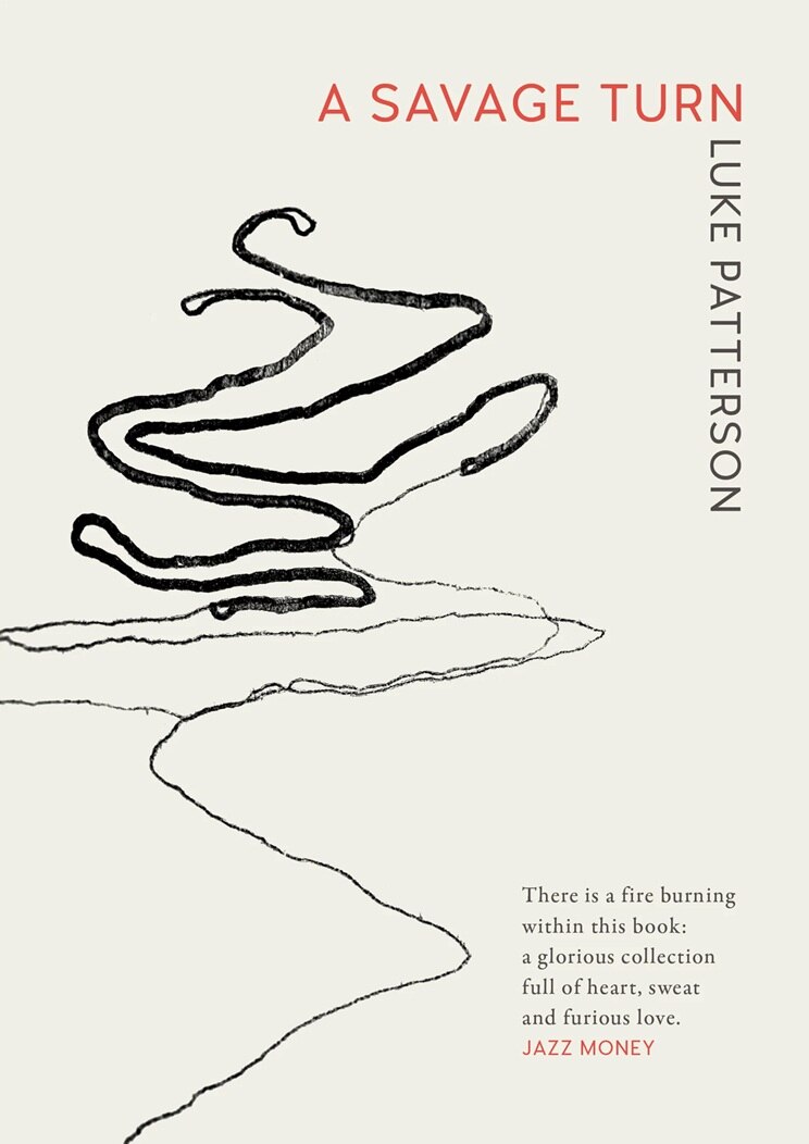 A Savage Turn by Luke Patterson