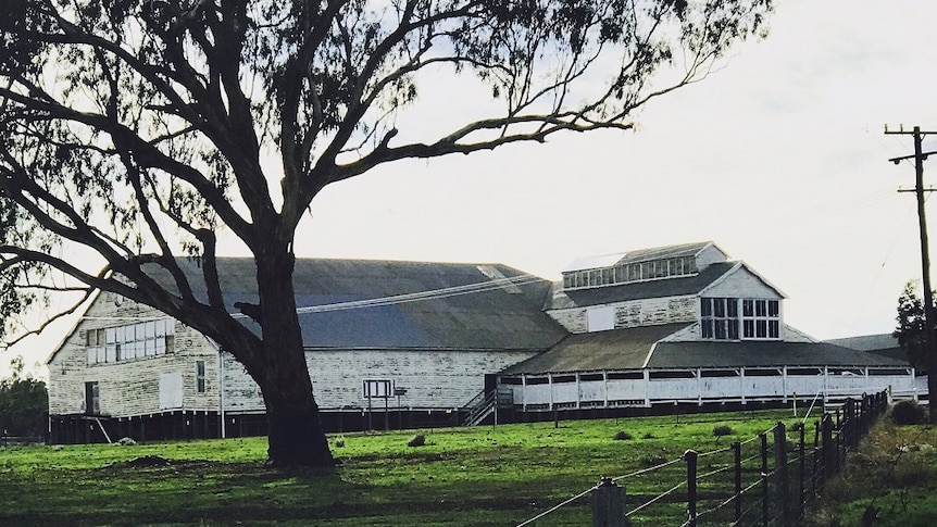 A distant shot of Windy Station Woolshed.