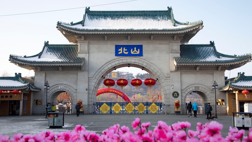 An arched gateway with Chinese writing and red lanterns on it, pink flowers out of focus in the foreground