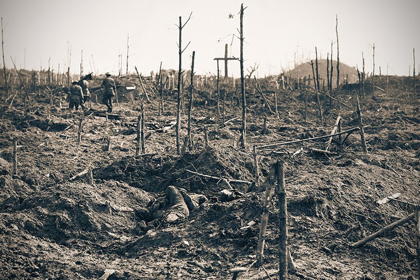 A WW1 battlefield, a landscape of mud and thin tree trunks stripped off leaves, a decimated landscaped.