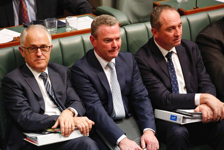 Malcolm Turnbull, Christopher Pyne and Barnaby Joyce unhappy in Question Time.
