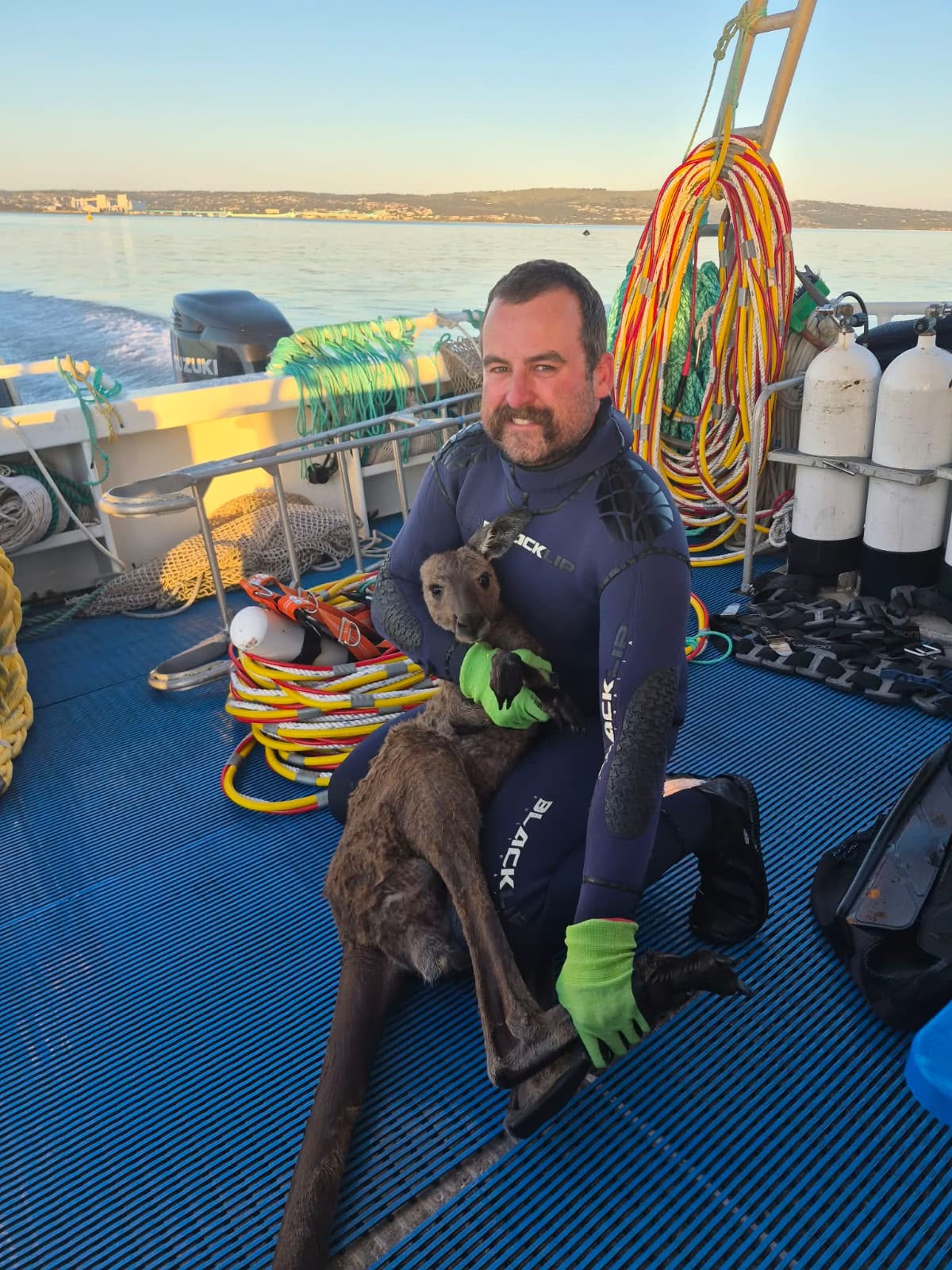 Fishers make unlikely catch after kangaroo spotted 3km from shore