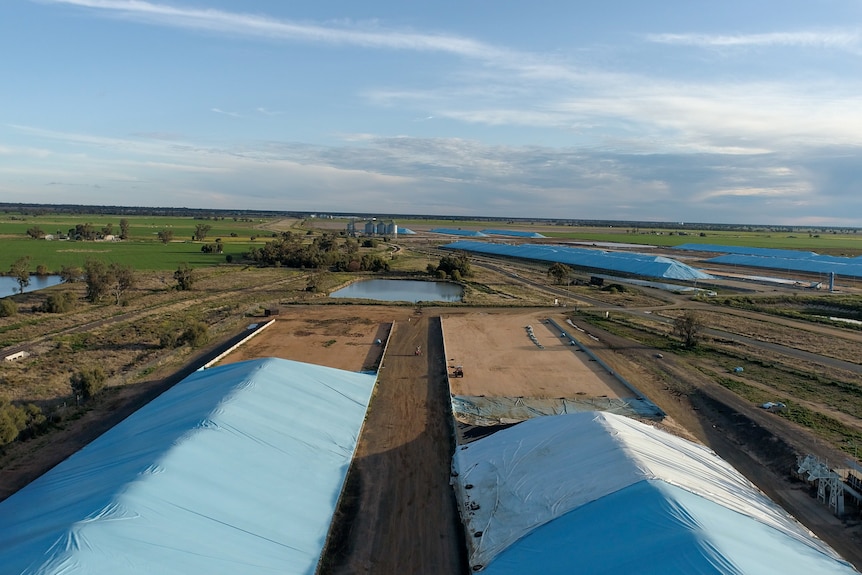 Blue tarp-covered grain bunkers at Coonamble, August 2022.