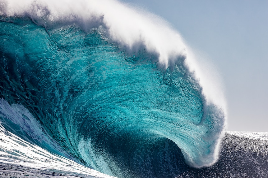 A huge wave pitches forward.
