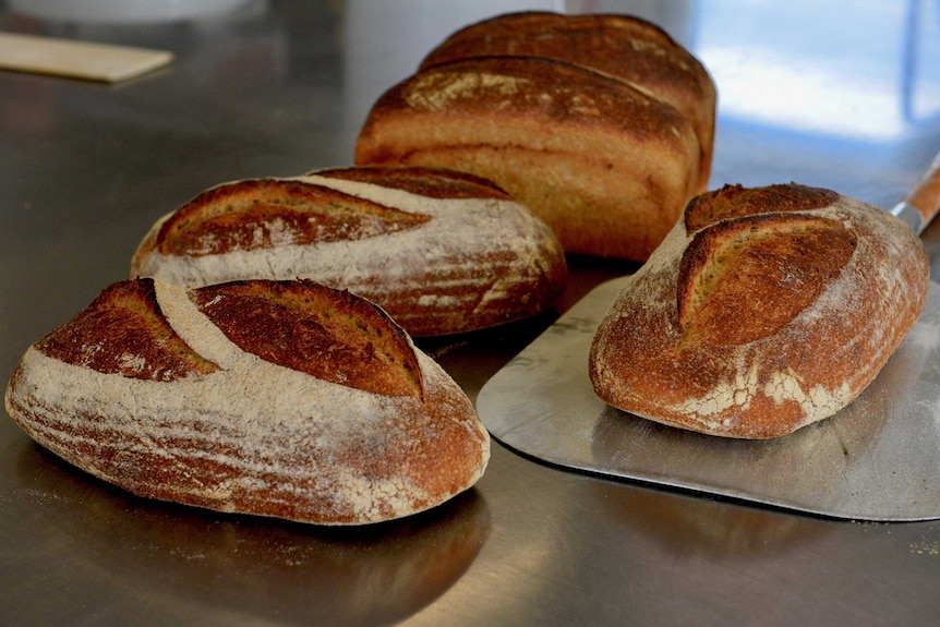 Sourdough sitting on a bench fresh from the oven