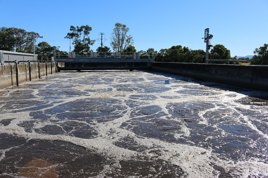 Effluent tank at a wastewater treatment facility.