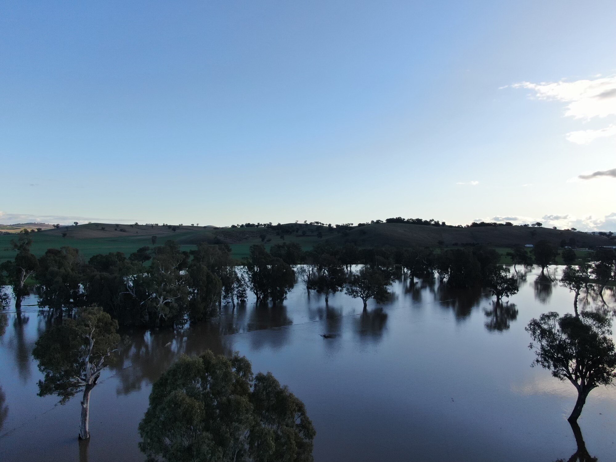 Drone photo of floodwaters from the Murrumbidgee River 