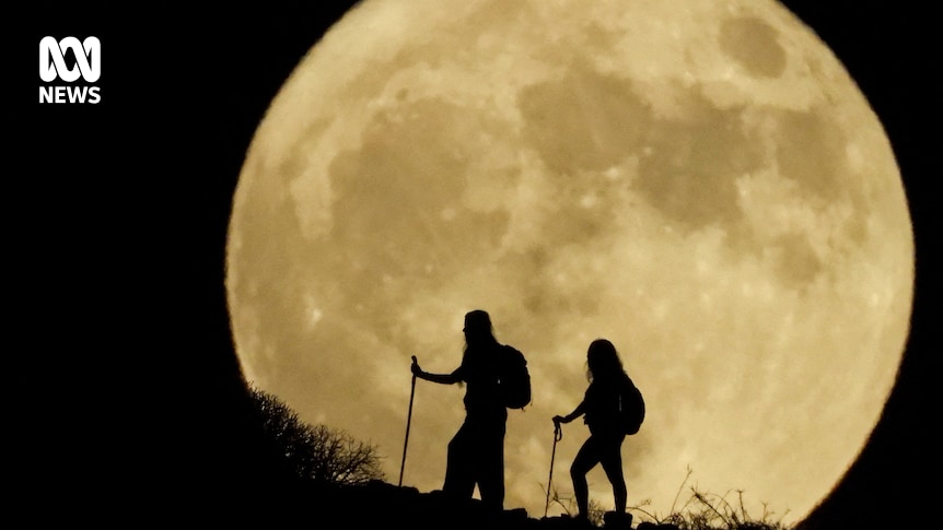 What is the harvest moon, how to watch it? All to know about the supermoon, Explainer News