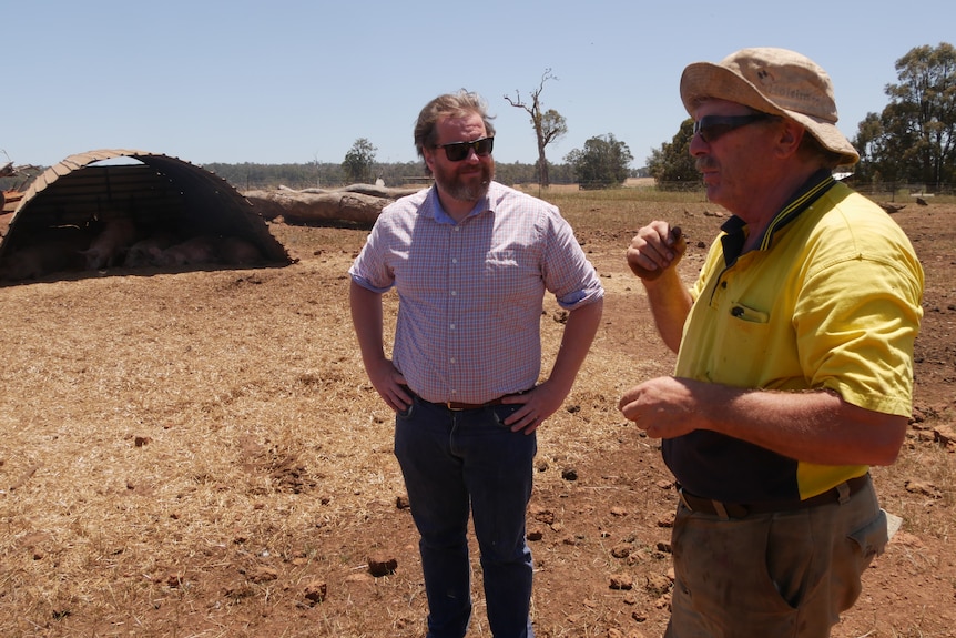 Two men on a farm in hot conditions with pig sty in background