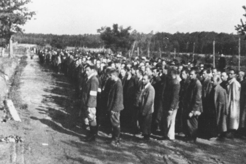 male prisoners of the camp line up in a field