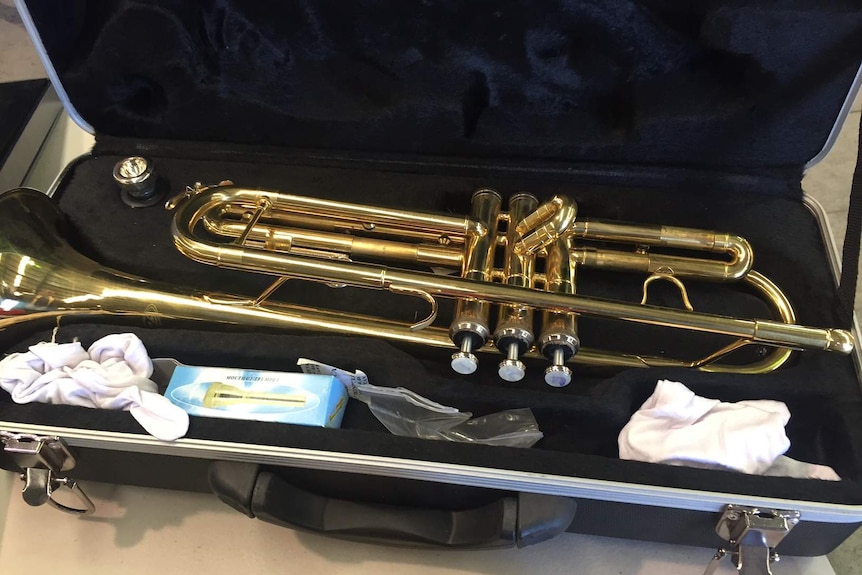 A trumpet in its case.