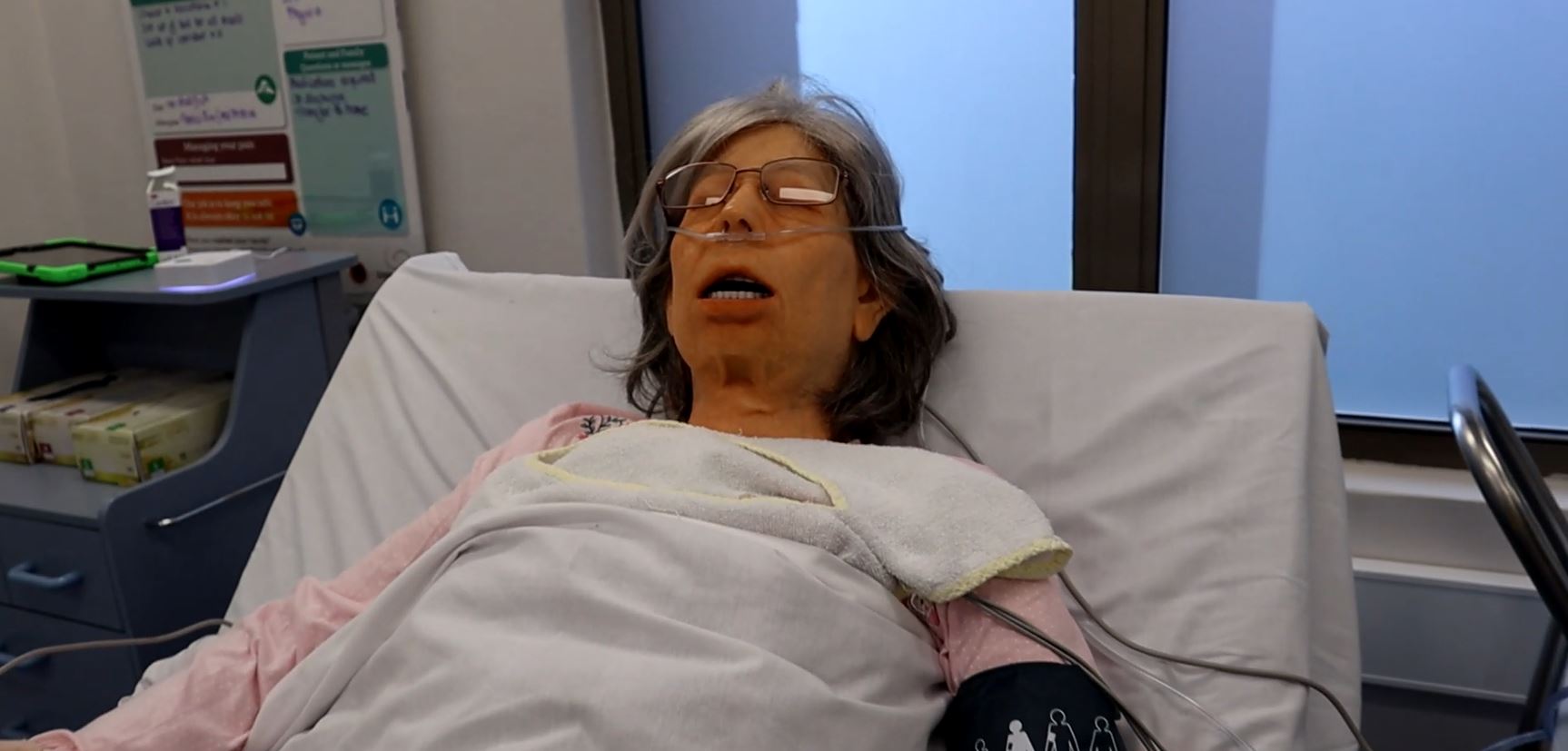 Mannequin of training dummy