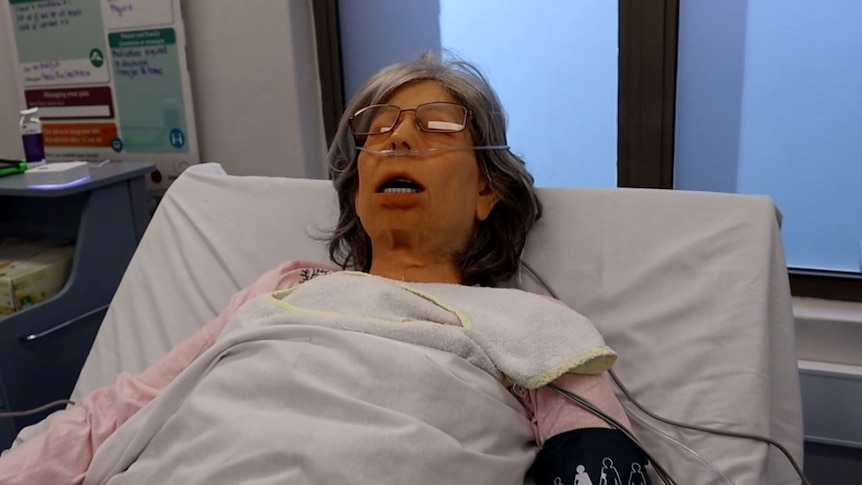 Mannequin of a middle-aged woman on a hospital bed.