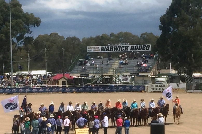 Winners and placegetters in the 2015 Warwick Gold Cup.