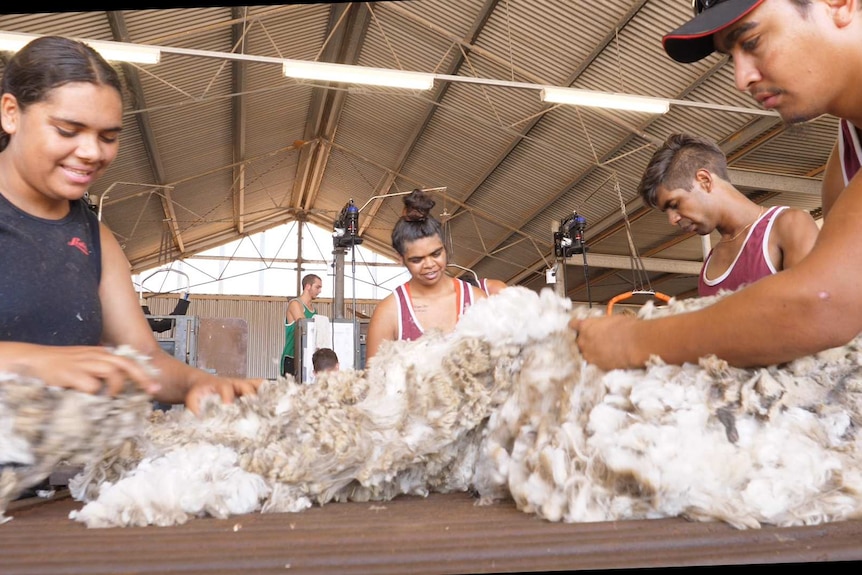 Shearing students at Ingavale farm in Northampton in Jan 2020.