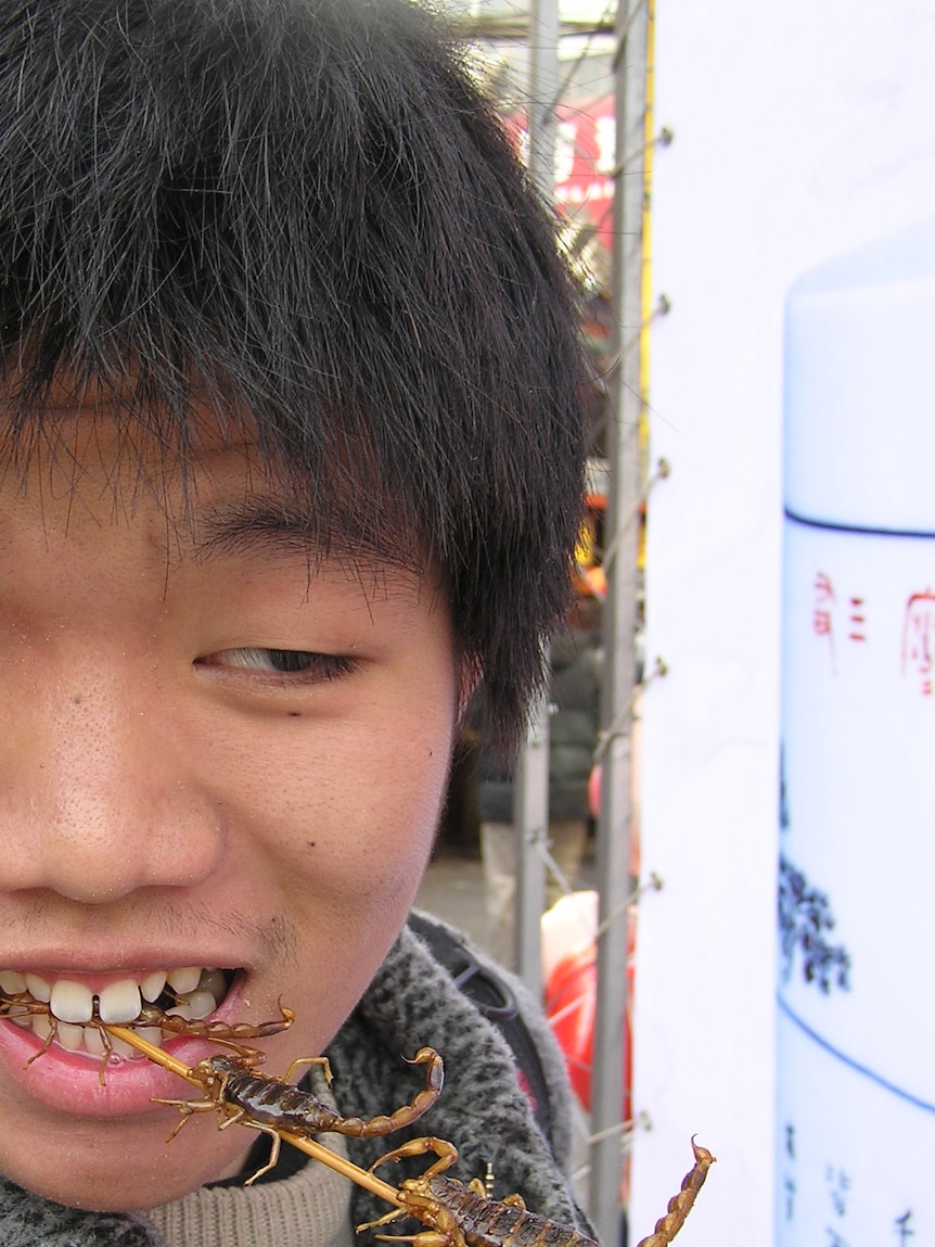 A man bites down on a skewer of fried scorpions. 