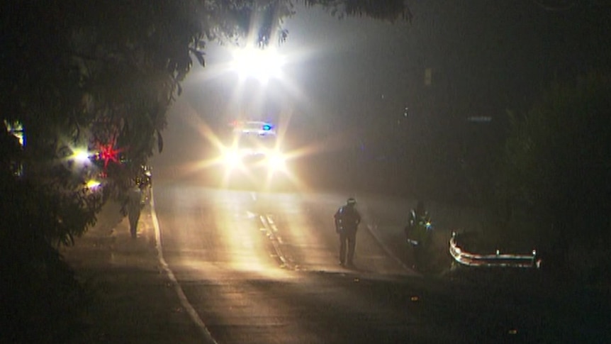 Police officers on a road at night