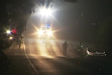 Police officers on a road at night