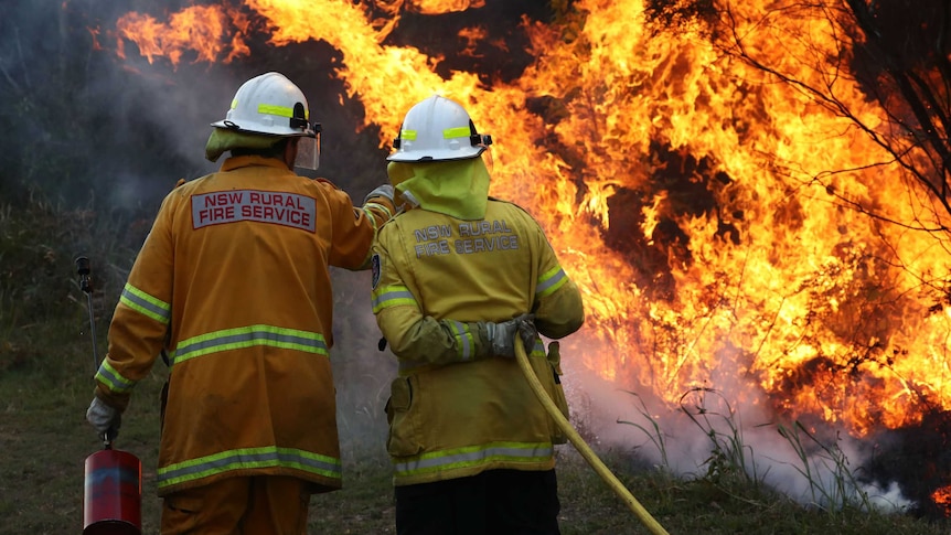 Firefighters battling bushfires in Angourie.