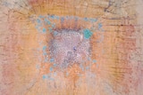 A farmer walks over a dried up dam, pictured from above.