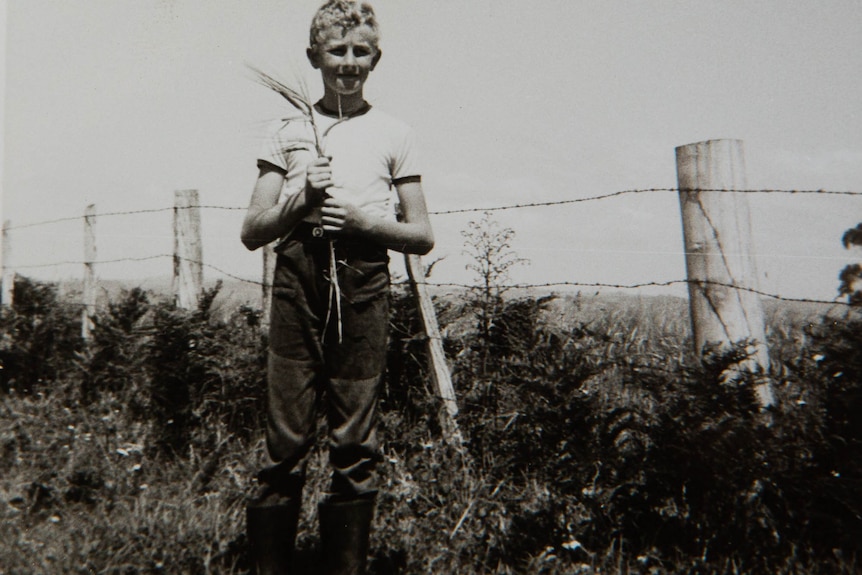 Old black and white of men threshing grain. Man in foreground has very heavy bag on his shoulder.