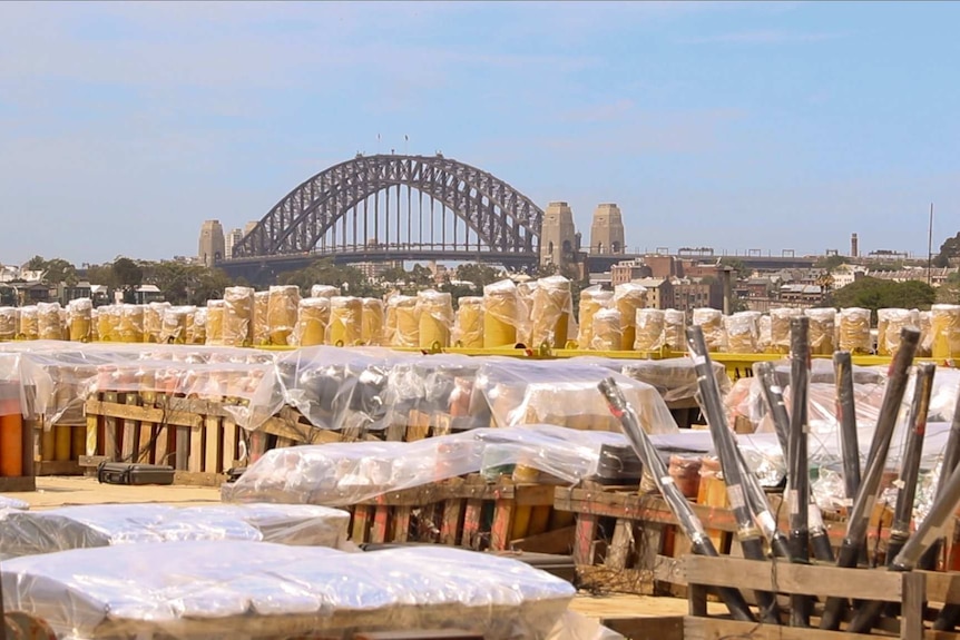 Fireworks in front of Sydney Harbour Bridge