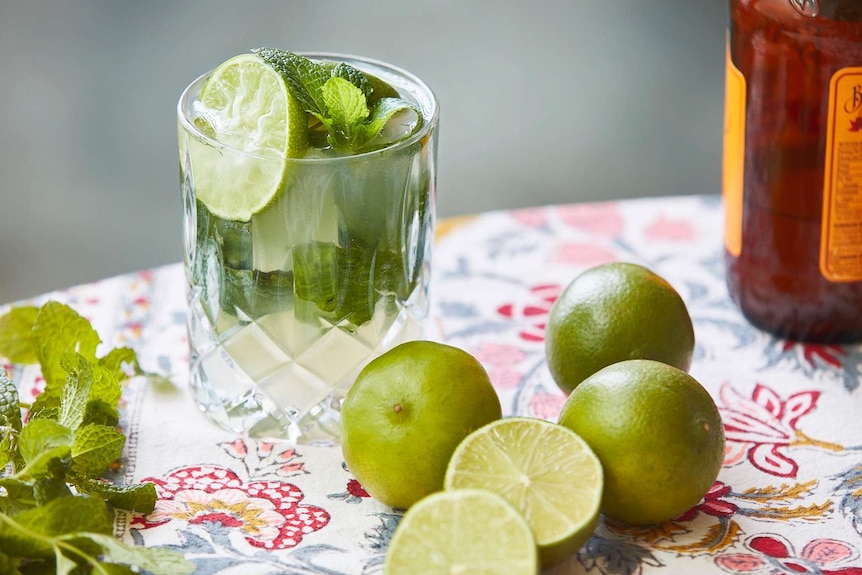 Mojito mocktail with fresh mint and limes to depict a collection of low-alcohol cocktail recipes.
