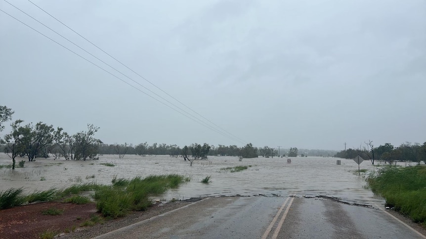 A photo showing a flooded road with windy trees. The road is impassable. 