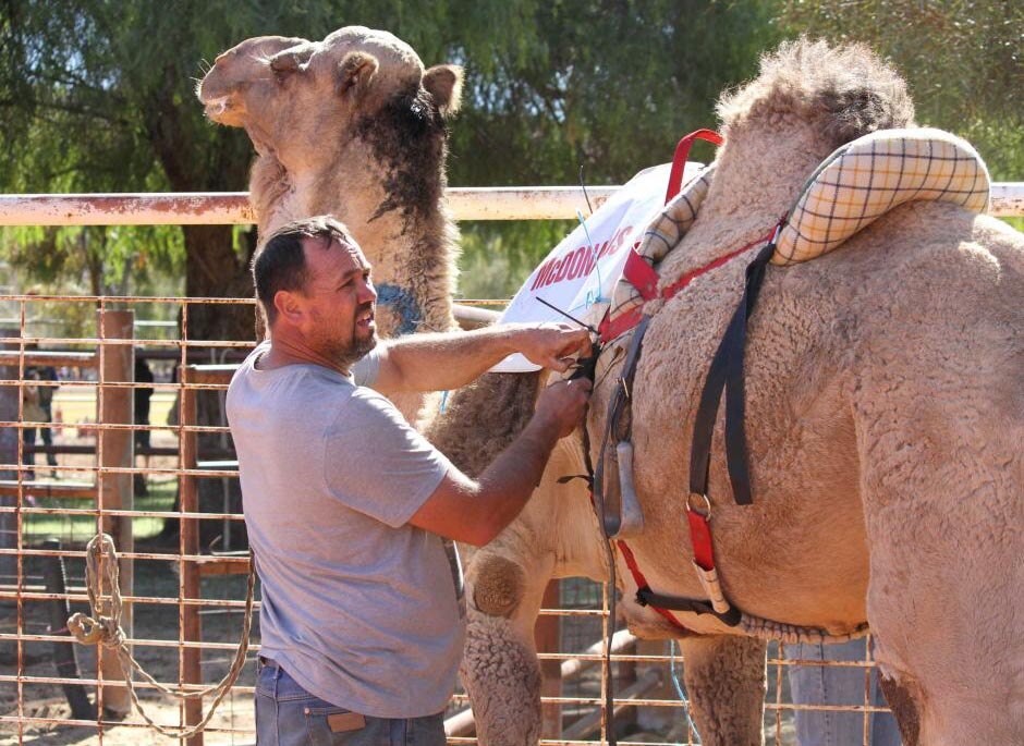 Alice Springs cameleer Dennis Orr saddles up ahead of another race