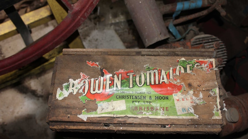 An old faded box which says Bowen Tomatoes on the top