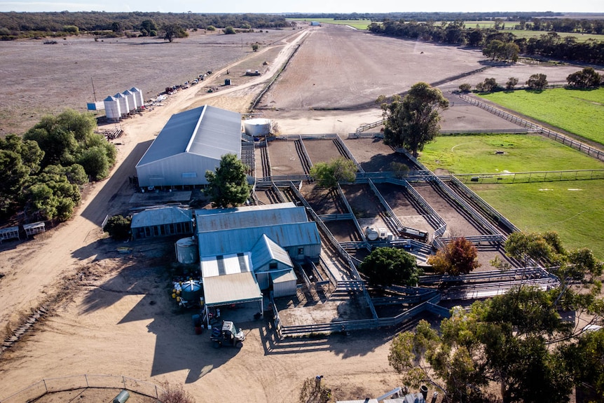 A drone shot shows several sheds and paddocks on a farm