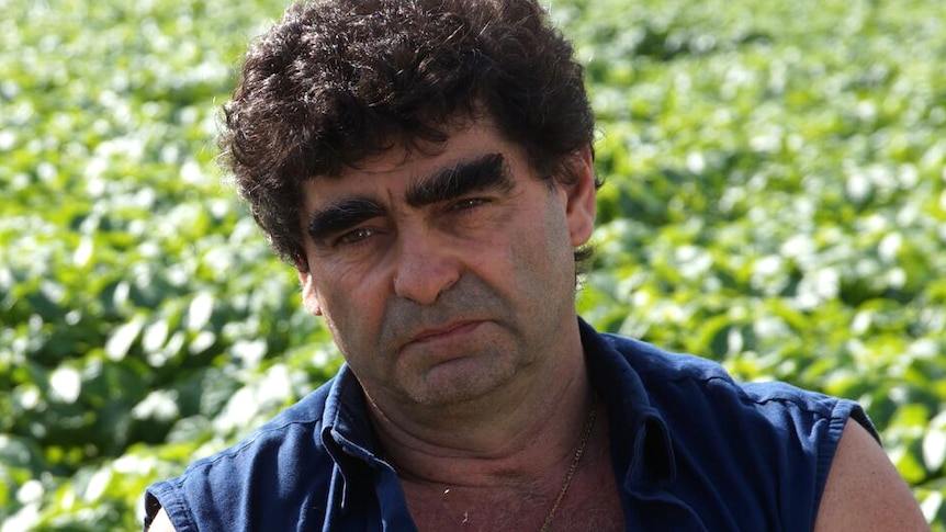 Spud king Galati eyes potato deregulation victory