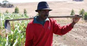 African man stands in a paddock next to a corn crop holding a shovel over his shoulder.