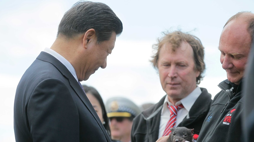 Chinese President Xi Jinping meets a Tasmanian devil