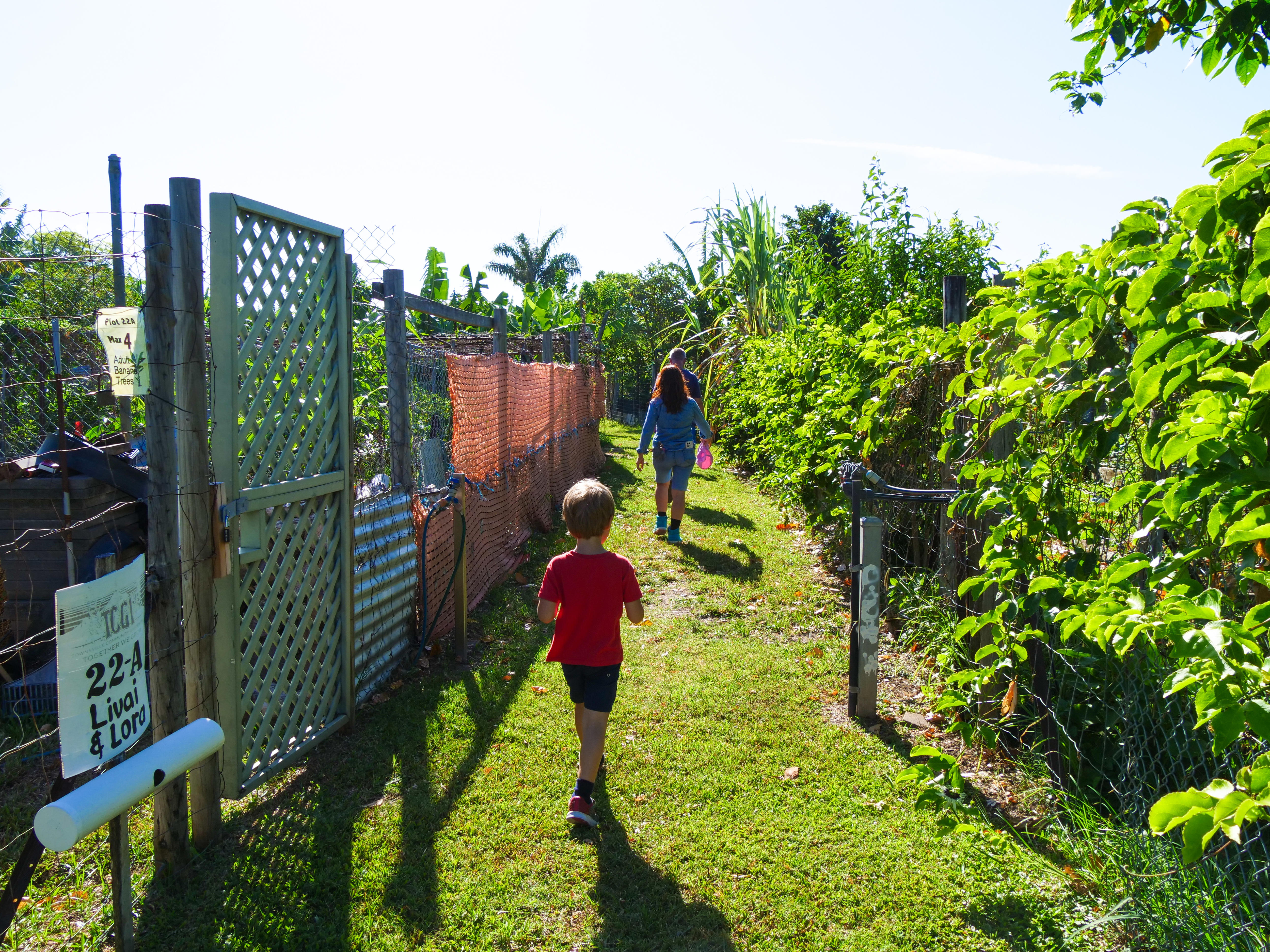 La familia camina por un callejón cubierto de hierba junto a vallas cubiertas de enredaderas verdes
