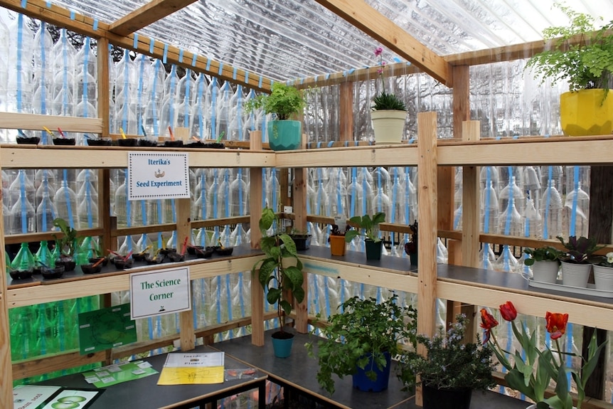 Greenhouse made from recycled plastic bottles