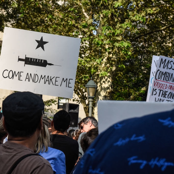 A demonstrator in a New York  park holds a sign with a picture of a needle and text "come and make me"