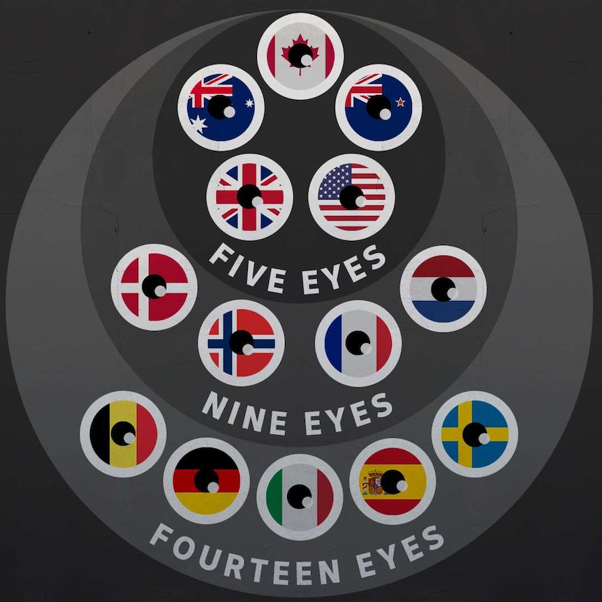 On a black background, you see overlapping circles explaining the members of Five, Nine and 14 eyes countries.