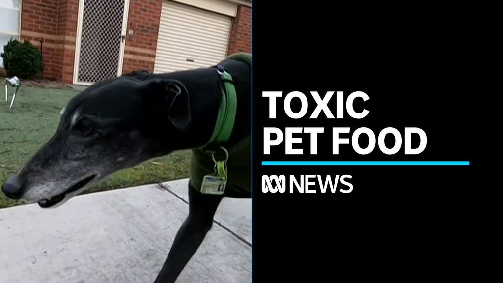 Concerns Toxic Meat That S Killed 21 Dogs In Victoria Could Worsen Abc News