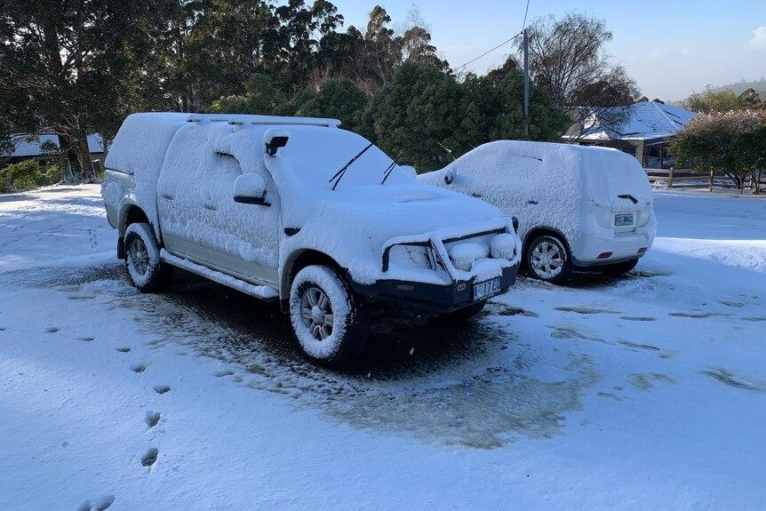 Two cars covered in a blanket of snow