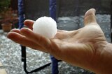 Large hailstones at Taylors Hill on the western outskirts of Melbourne after a hail storm.